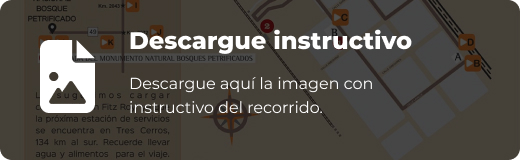 Instructivo de descarga